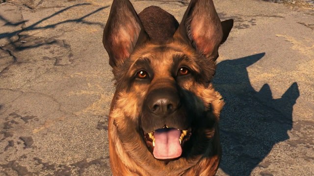 Dogmeat being a good boy, likely seconds before falling into or accidentaly leading players into a deadly trap.