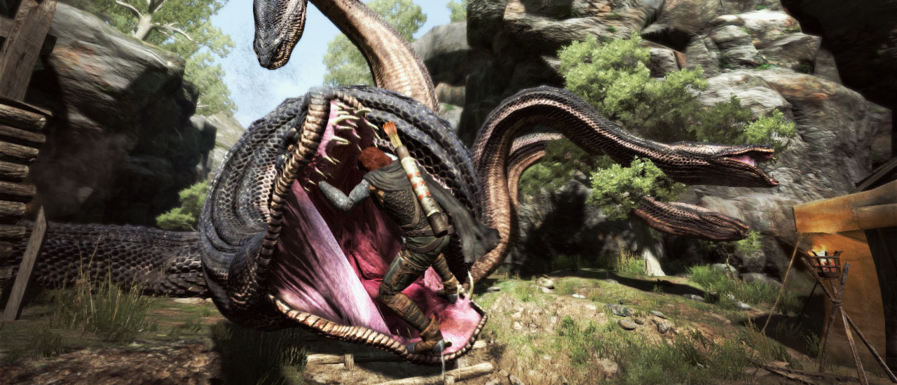 Experience Points 30 Dragon S Dogma Destructoid