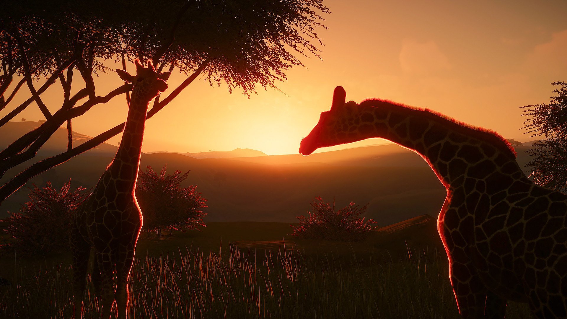 A sunset scene with giraffes in Planet Zoo