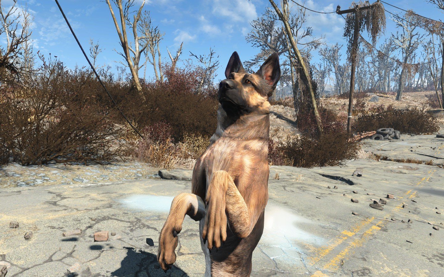 Fallout 4 good boy dogmeat фото 7