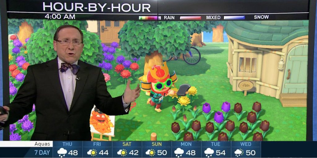Learn your Animal Crossing island's weather pattern with this cool