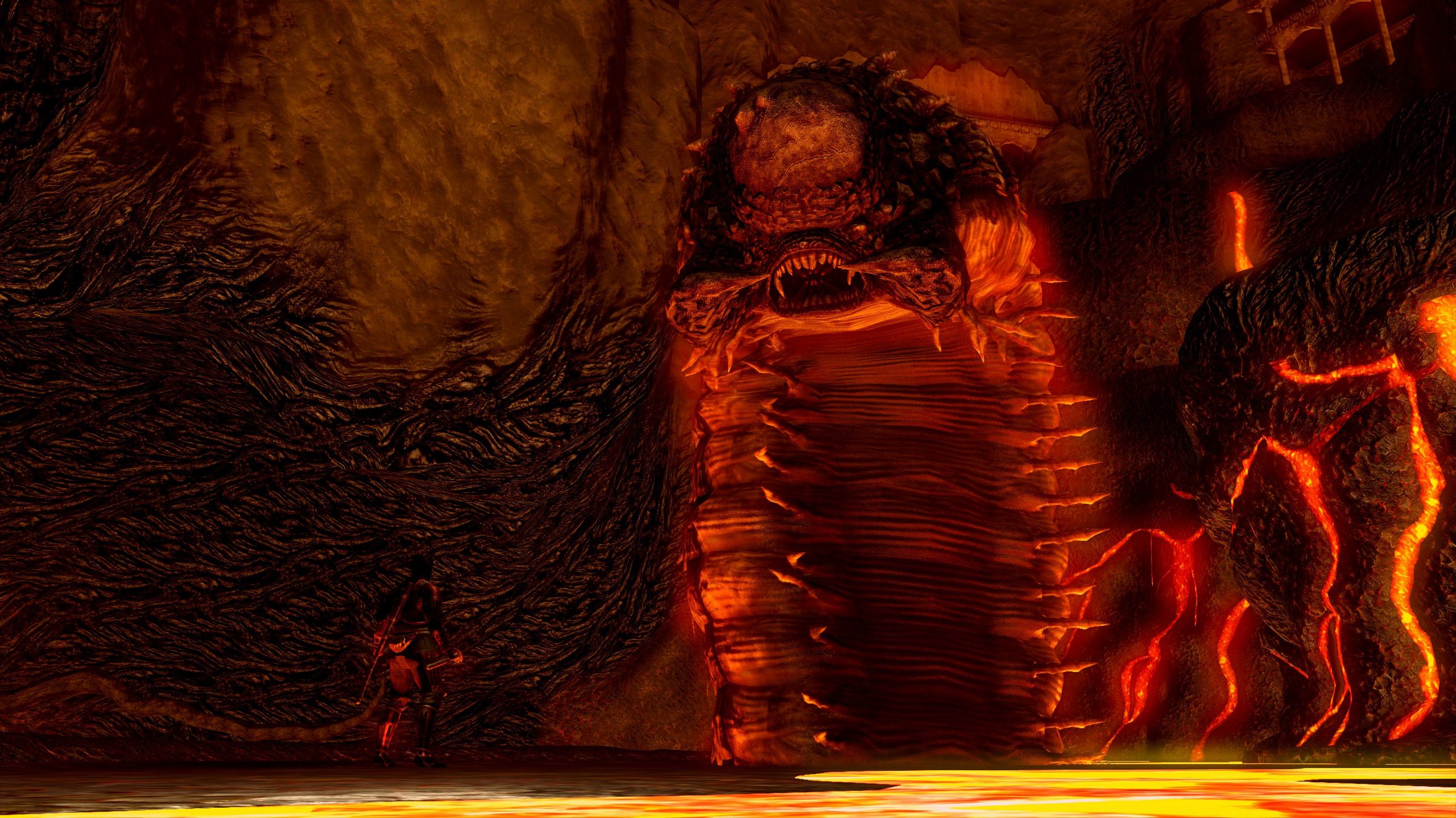 A giant centipede in Dark Souls: Nightfall