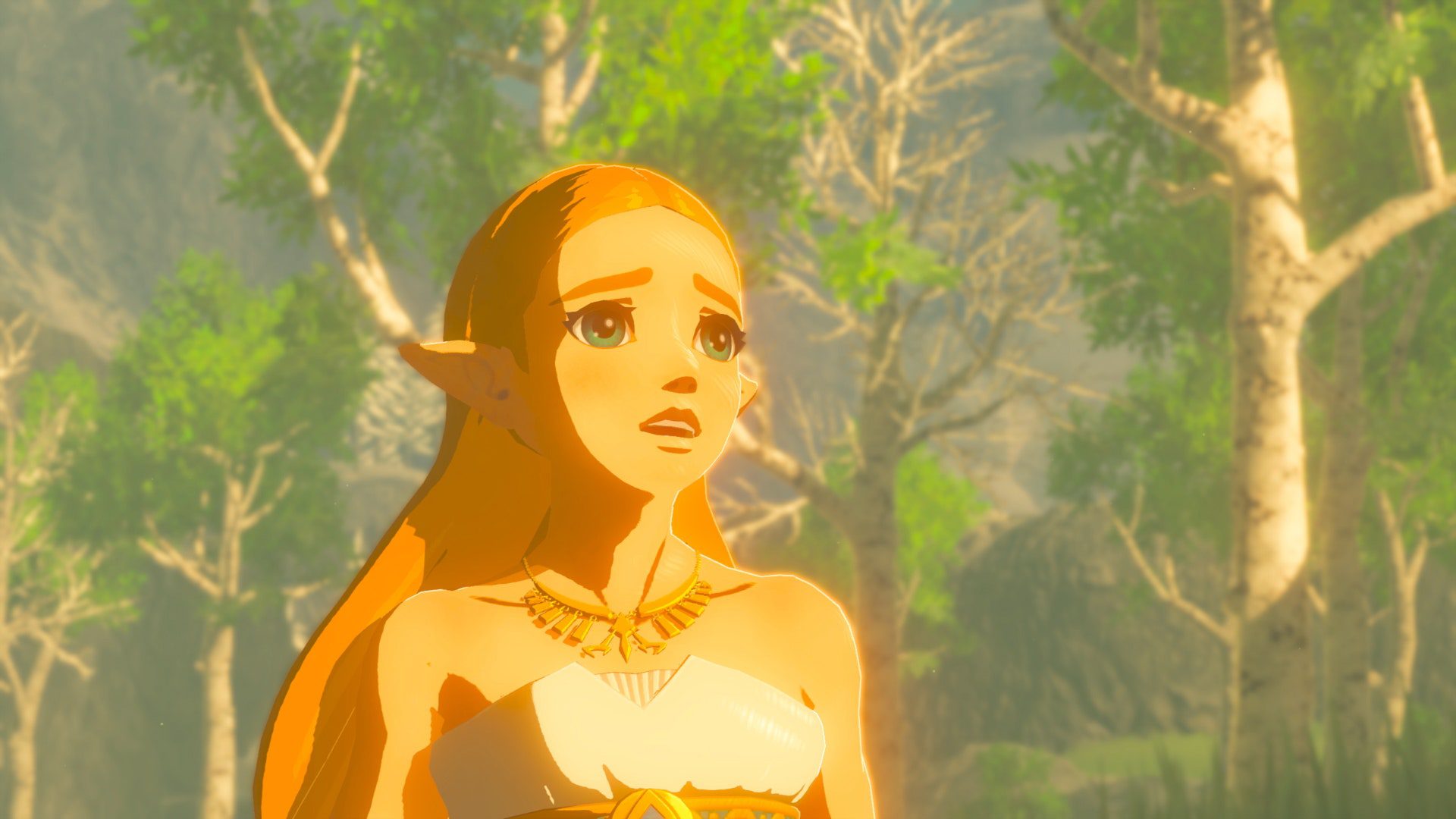 Zelda in Breath of the Wild