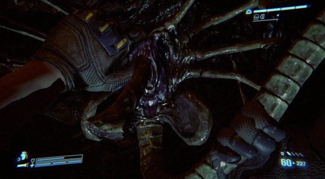Colonial Marines Facehugger