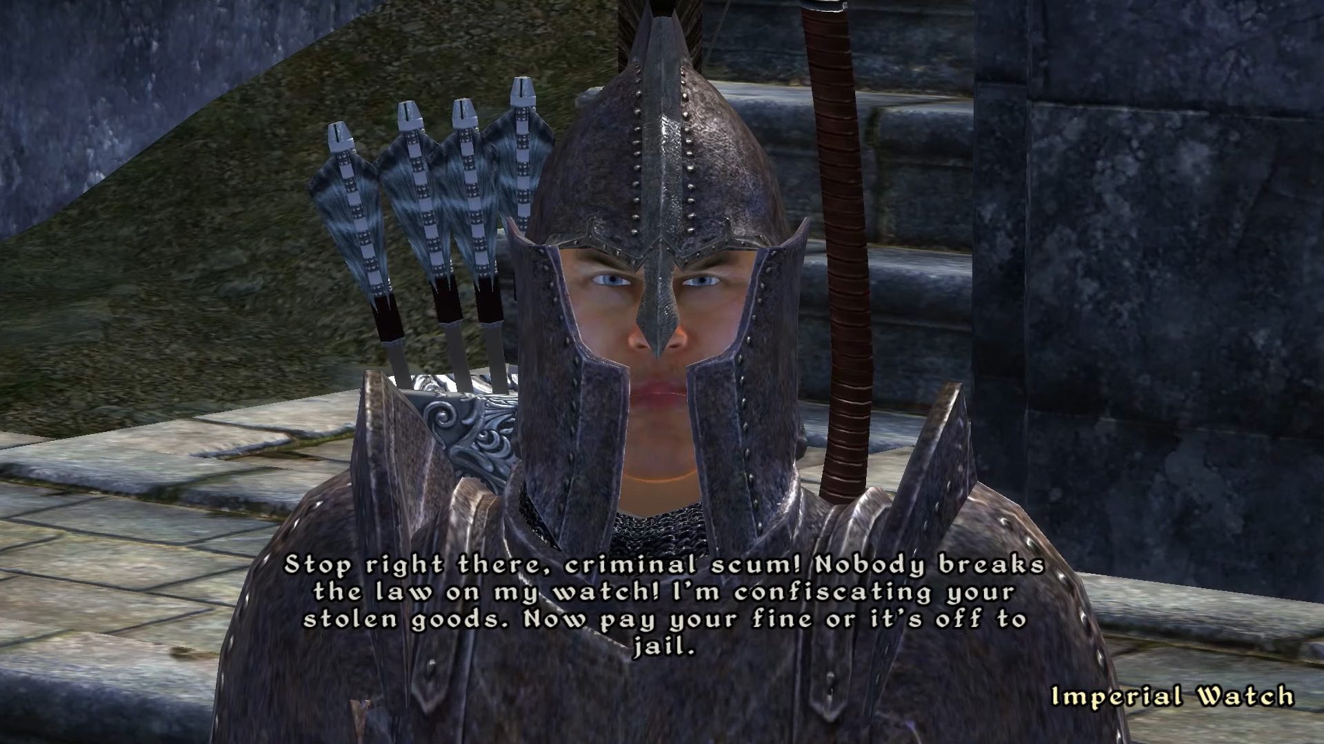 "Stop right there, criminal scum!" from Oblivion