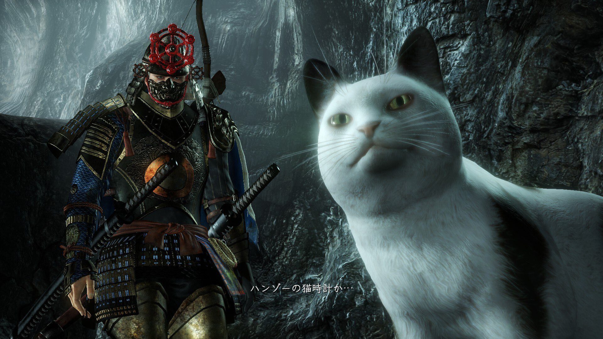 Cat Cat