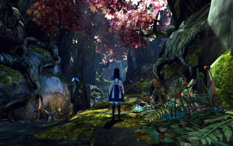 Walking through the forest