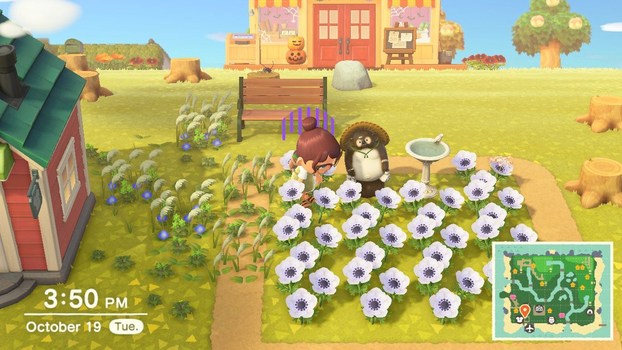 After a months-long break, weeds have taken over the town square in my Animal Crossing: New Horizons village