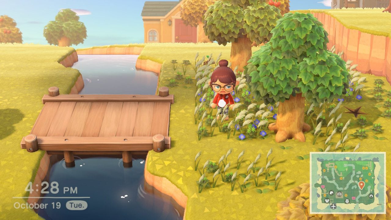 How neglected is your Animal Crossing: New Horizons island?