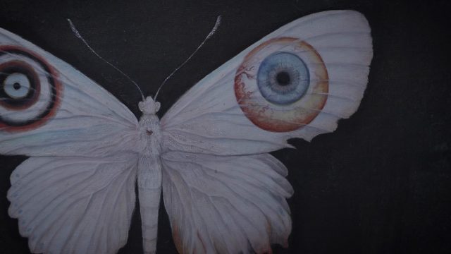 Miki Takahashi moth artwork