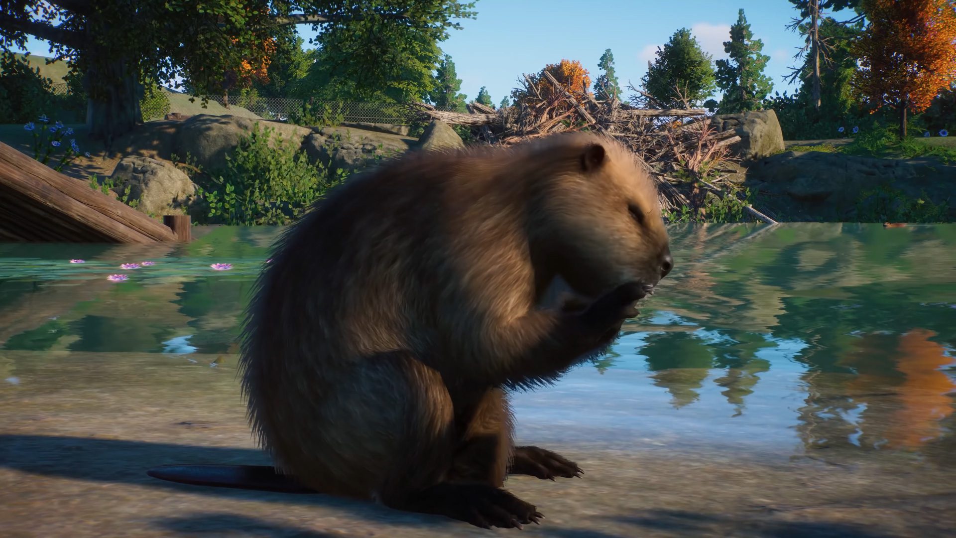 Review: Planet Zoo – Destructoid