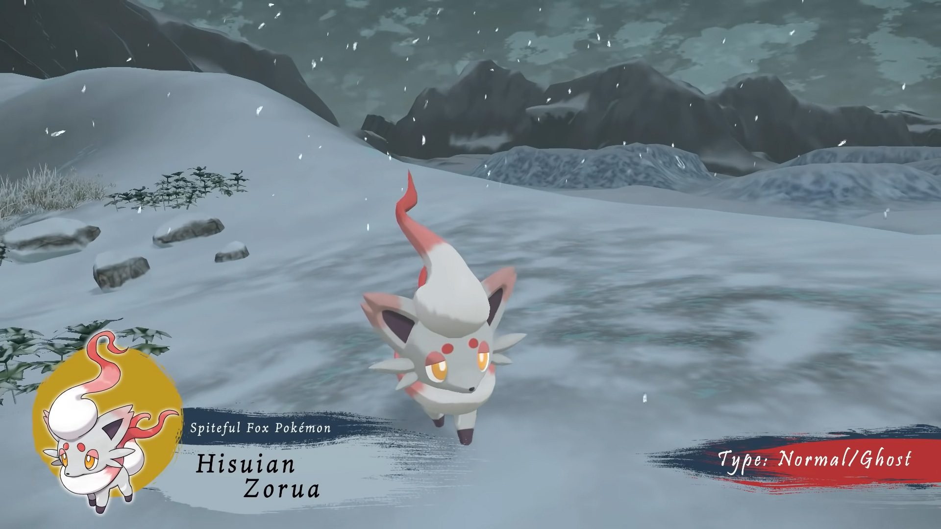 Hisuian Zorua in Pokemon Legends: Arceus