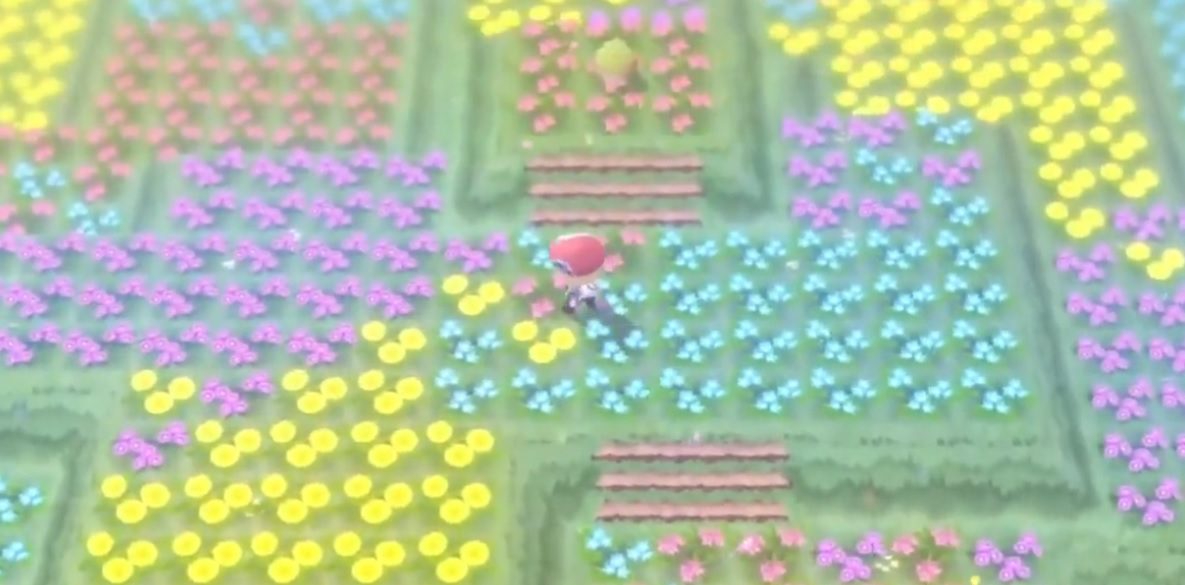Pokemon Flower Paradise