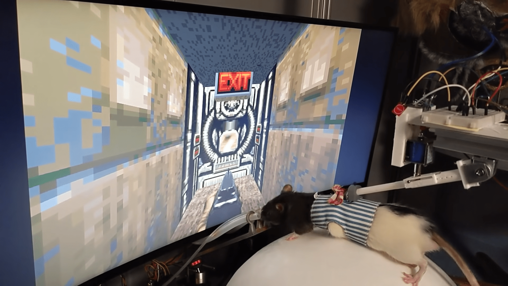 A scientist might start a Twitch channel for his rats that play Doom