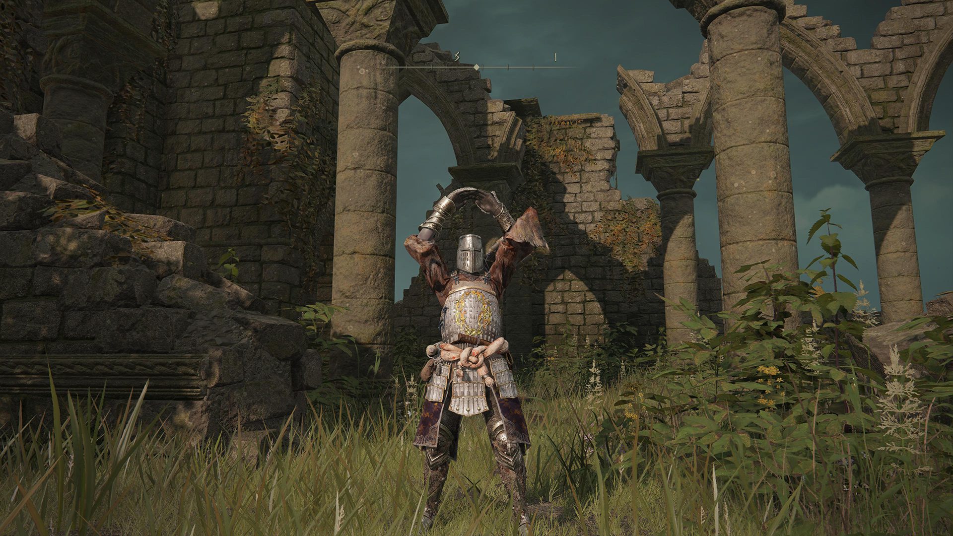 Elden Ring motion controls gesture screenshot