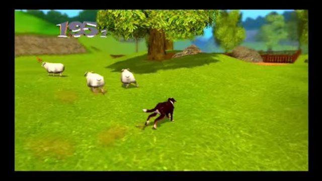 Dog's Life Sheep