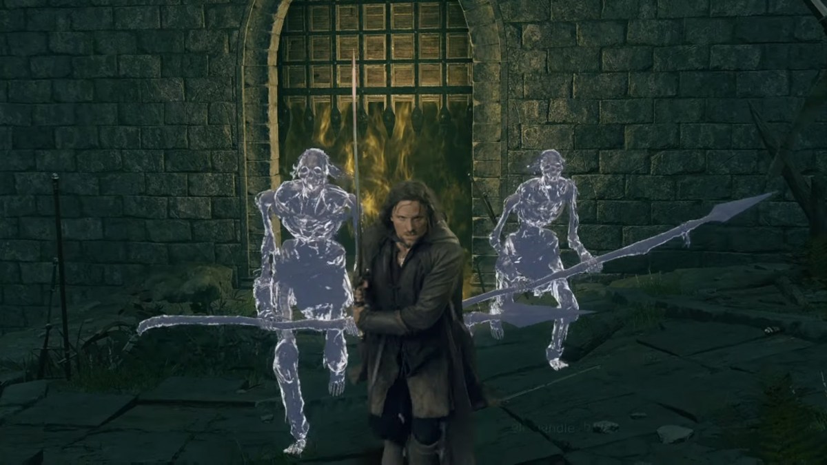 Elden Ring Aragorn mash-up