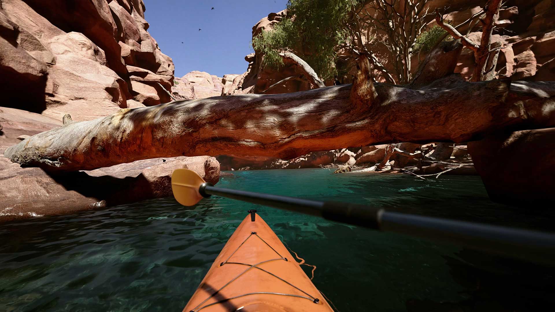 Kayak VR: Mirage screenshot