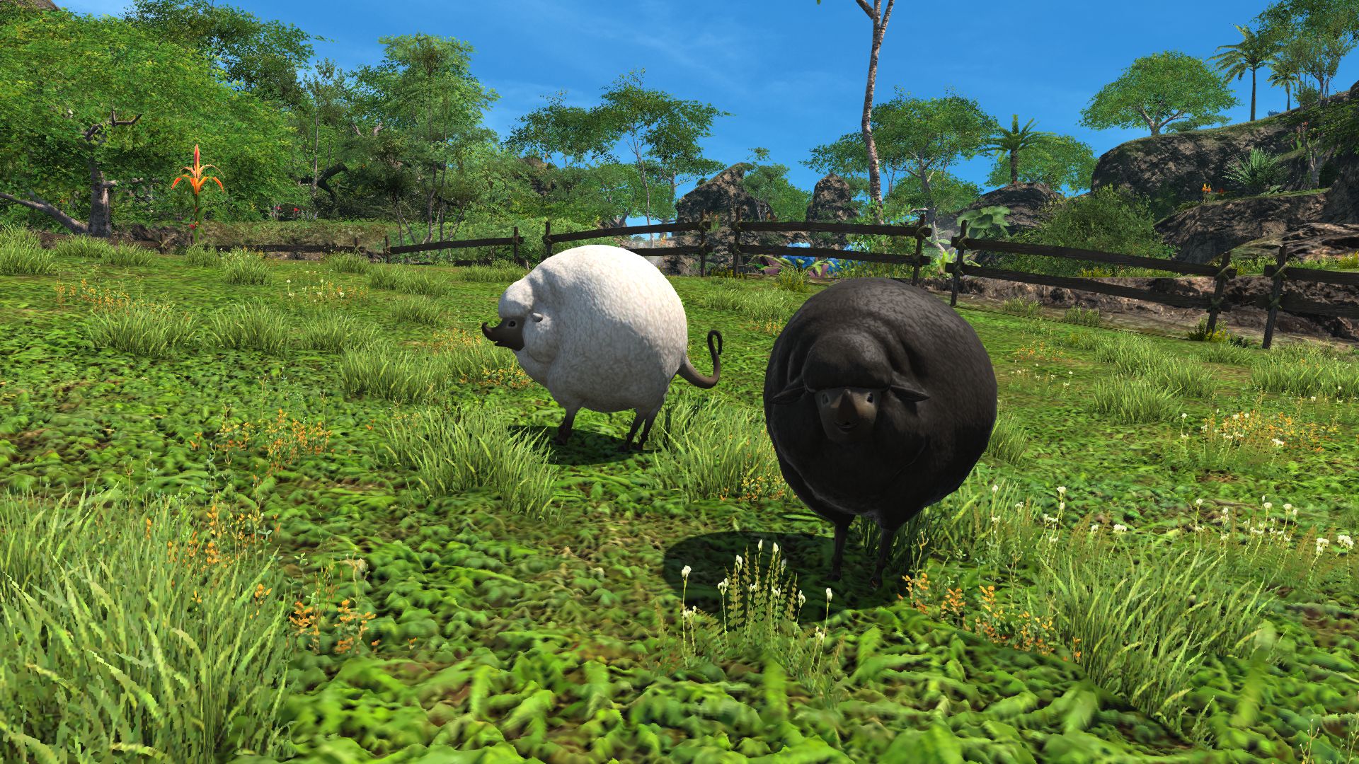 How to get Island Sanctuary Rare Animals in FFXIV