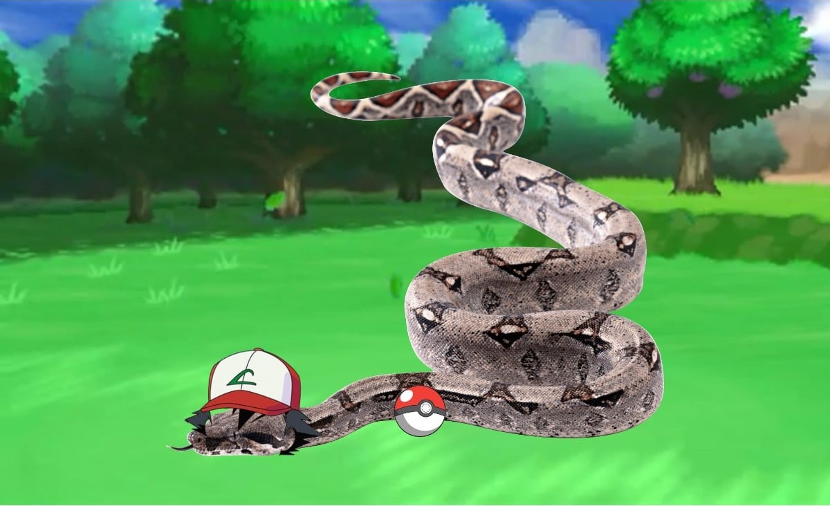 A pet snake playing Pokémon Go