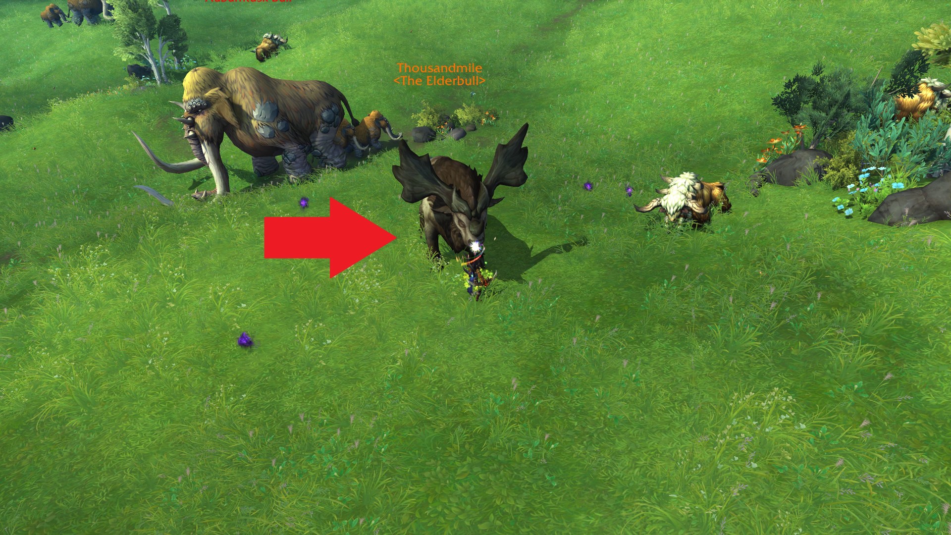 How to get Dragon Shard of Knowledge in WoW Dragonflight