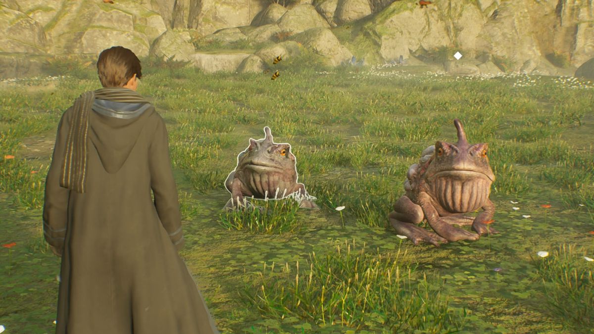 Where to find a Giant Purple Toad in Hogwarts Legacy Destructoid