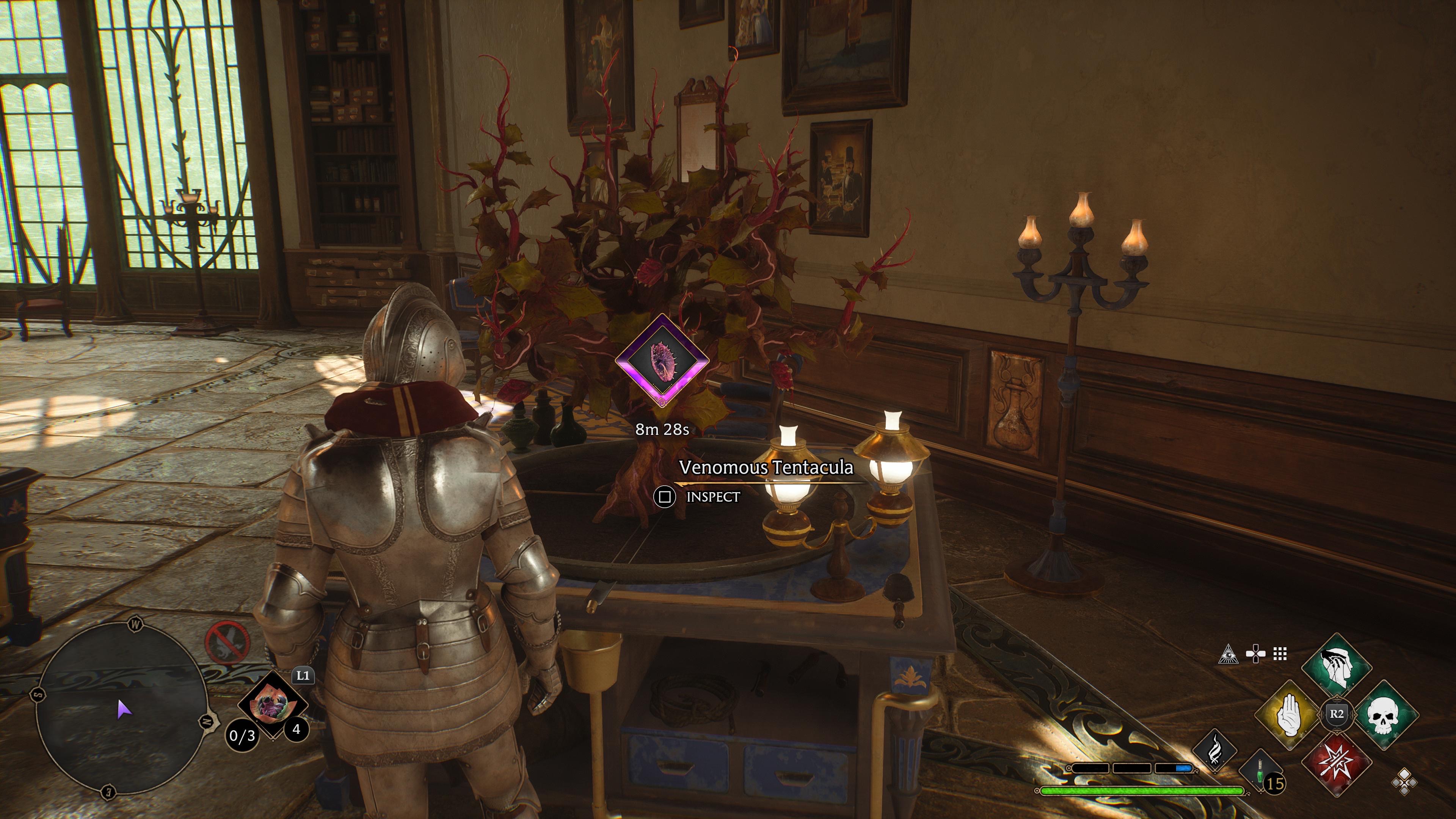 How to grow plants in large pots Hogwarts Legacy planting guide