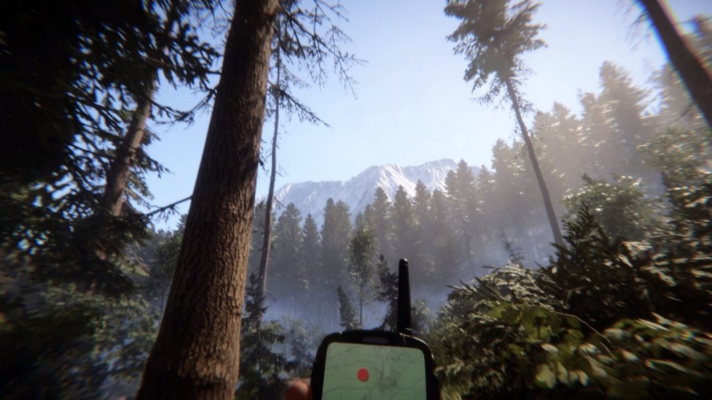 Everything We Know About Sons of the Forest – Destructoid