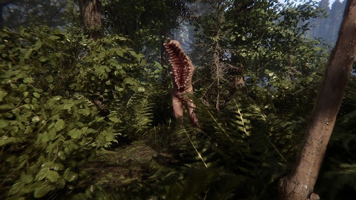 Everything We Know About Sons of the Forest – Destructoid