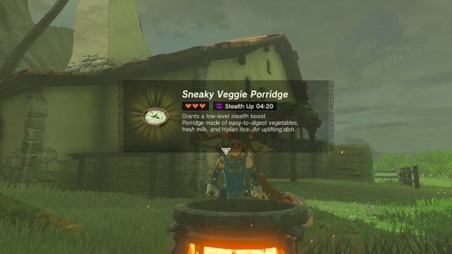 The Legend of Zelda: Tears of the Kingdom Porridge