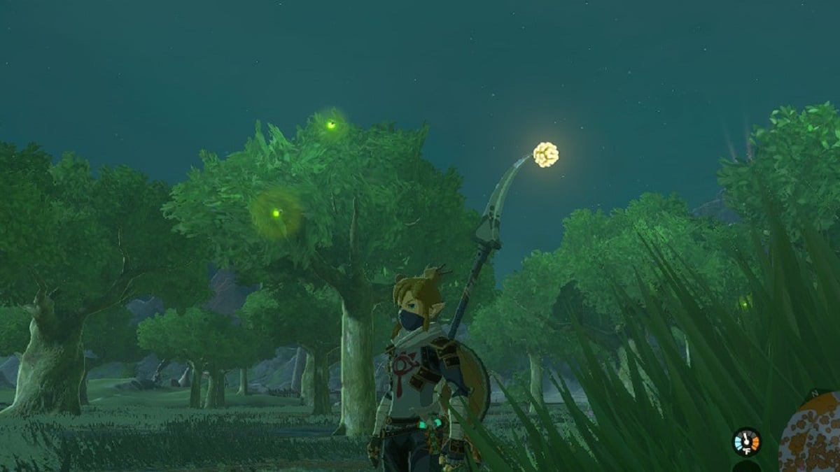 The Legend of Zelda Tears of the Kingdom Sunset Fireflies