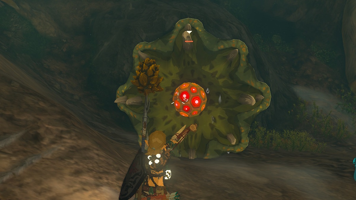 How to beat Like Like Cave Worms Tears of the Kingdom