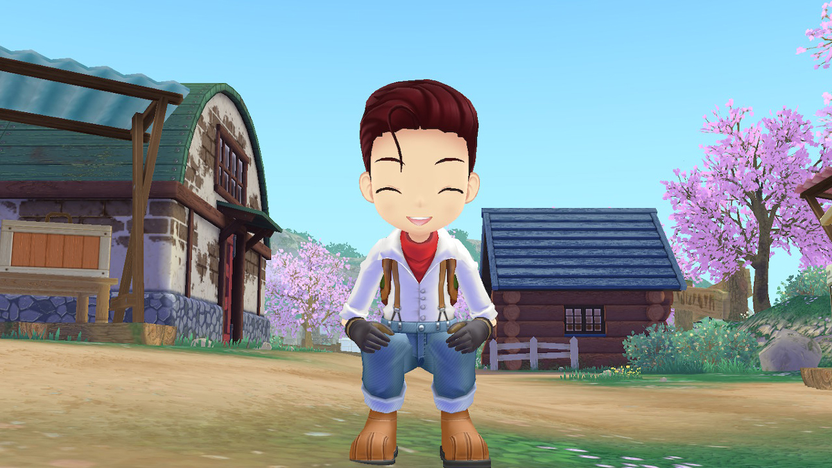 Story of Seasons: A Wonderful Life Review