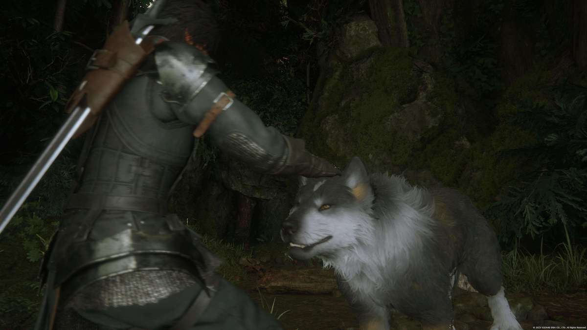 petting the dog torgal in final fantasy xvi