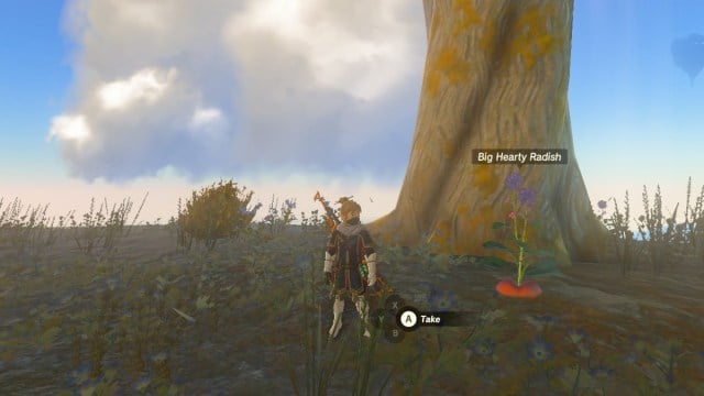 Link standing next to Big Hearty Radish in The Legend of Zelda: Tears of the Kingdom.