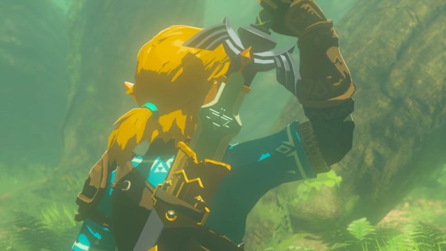 Link unsheathing Master Sword in The Legend of Zelda: Tears of the Kingdom.