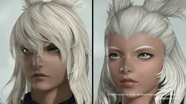 Final Fantasy XIV Bun Comparison