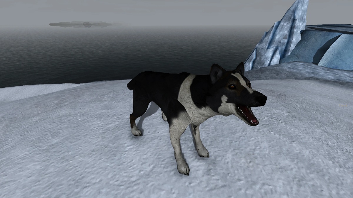 Morrowind: a dog barking on a snowy plain.