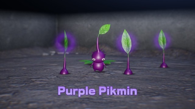 Фиолетовый пикмин в Pikmin 4.