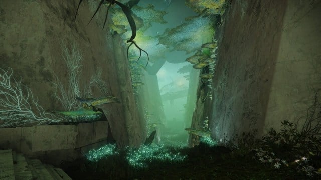 A striking screenshot from the Garden of Salvation raid from Destiny 2.