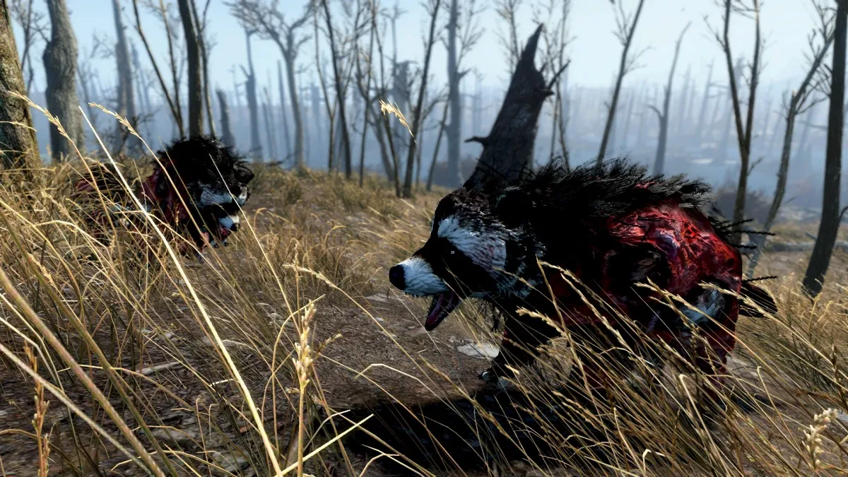 Fallout 4: Animals that look like mutated badgers.