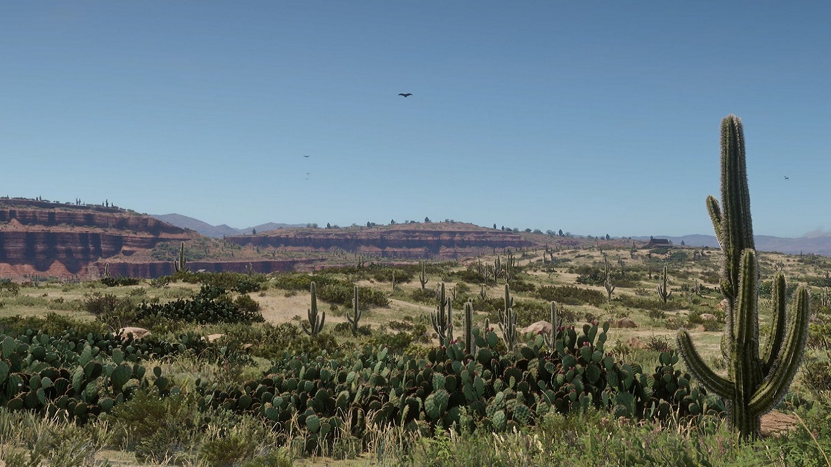 Red Dead Redemption 2: a stunning vista of a cactus-heavy desert, bathed in sunlight.