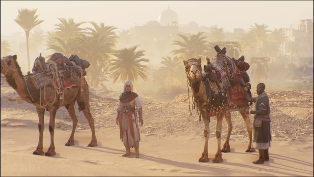 Верблюды в Assassin's Creed Mirage.