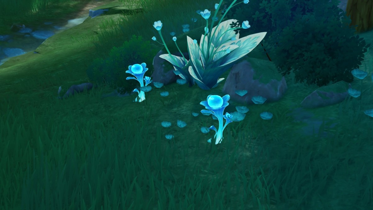 Where to find Lakelight Lilies in Genshin Impact
