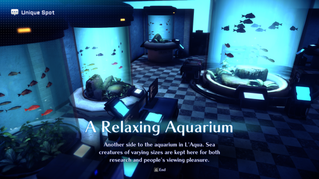 Уникальное место 25 — Расслабляющий аквариум.  Это внутри L'Aqua, спрятано сзади.