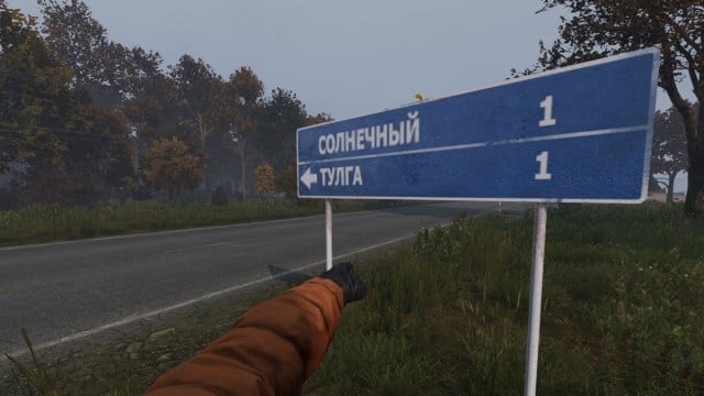 DayZ: an arm in an orange sleeve pointing at a blue road sign.