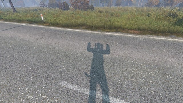 DayZ: the player's shadow seen with their arms in the air celebrating.