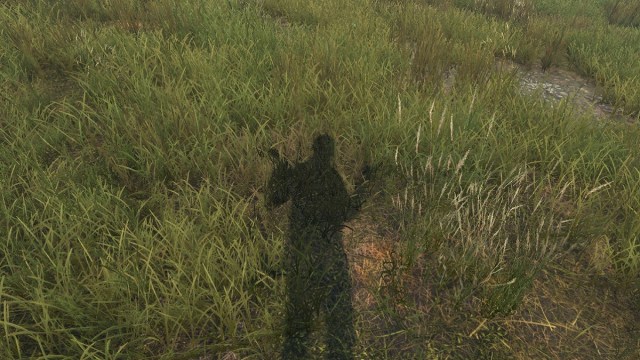 DayZ: the player's shadow seen shrugging their shoulders