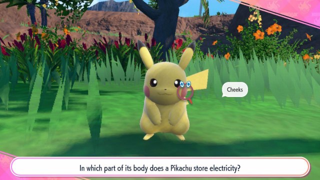 In what part of Pikachu's body does it store the electricity it generates?