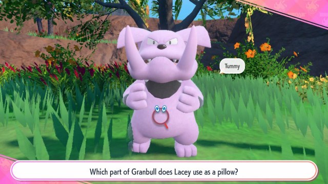 Which part of Granbull's body does Lacey use as a pillow?